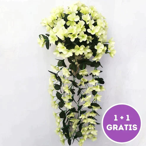 Miniatuur 10
