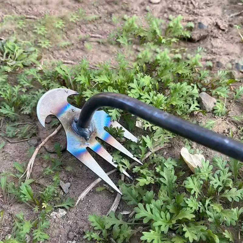 Miniatuur 6