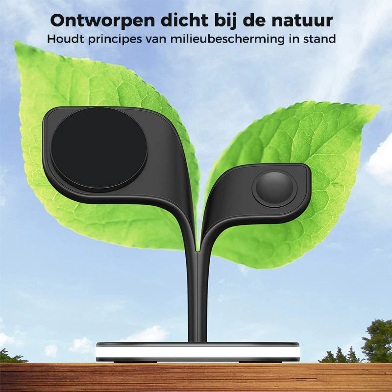 Miniatuur 11