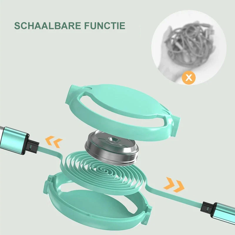 Miniatuur 11