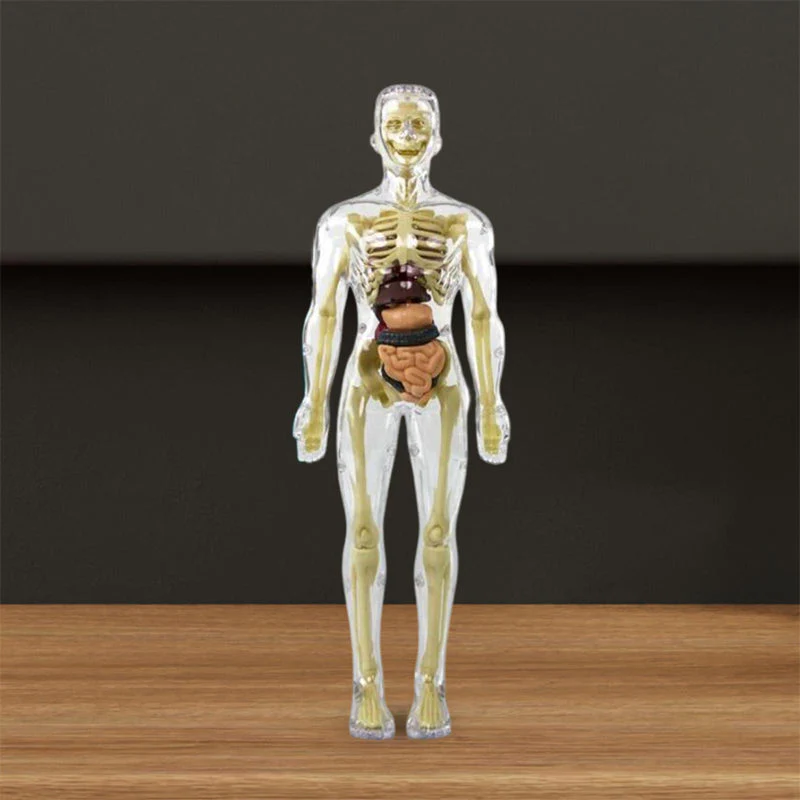 Miniatuur 4