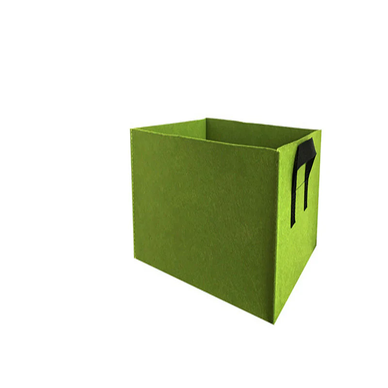 Miniatuur 11