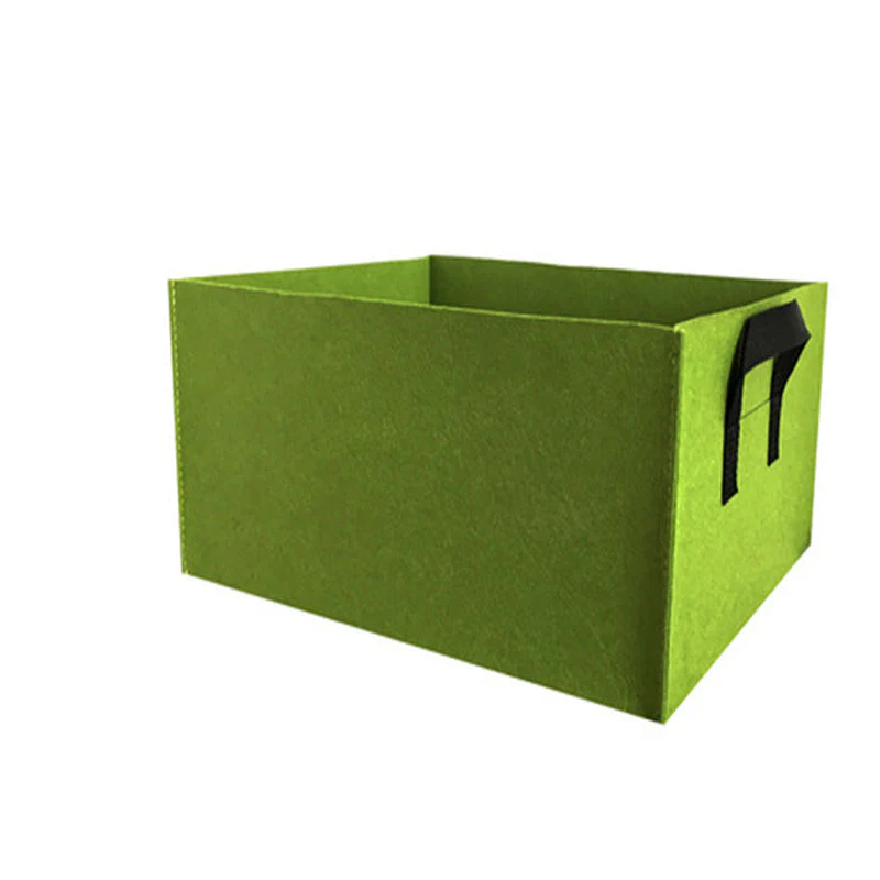 Miniatuur 12