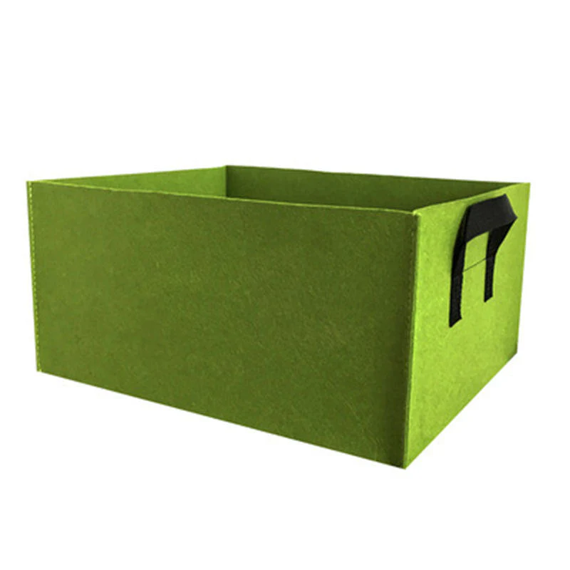 Miniatuur 13