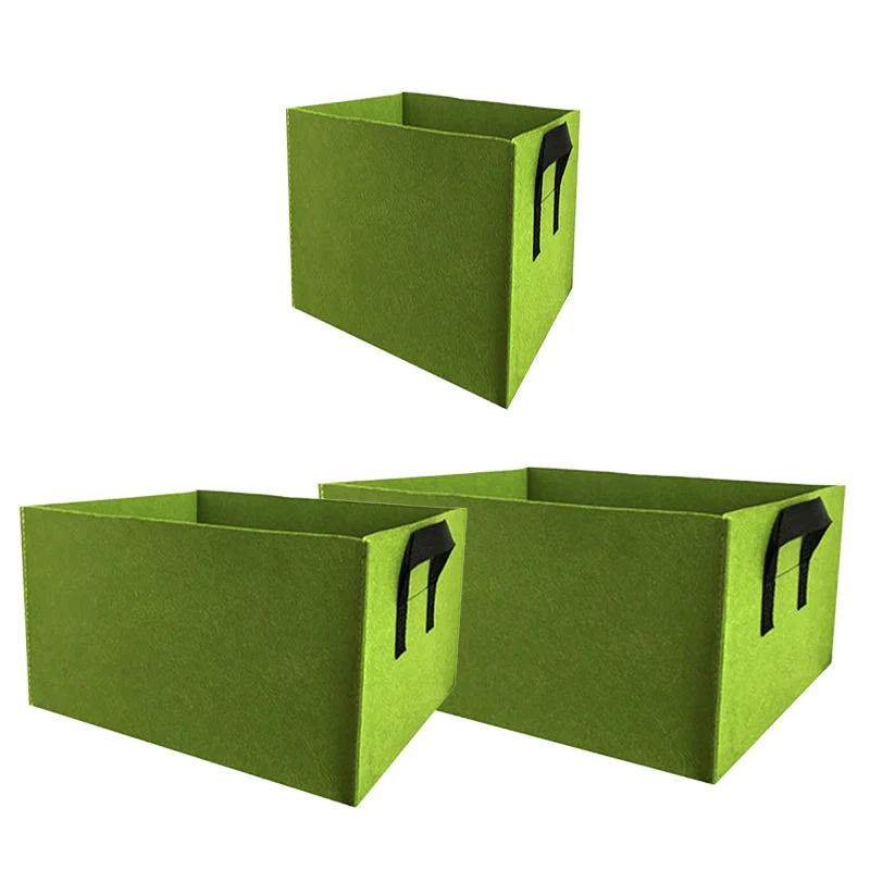 Miniatuur 14