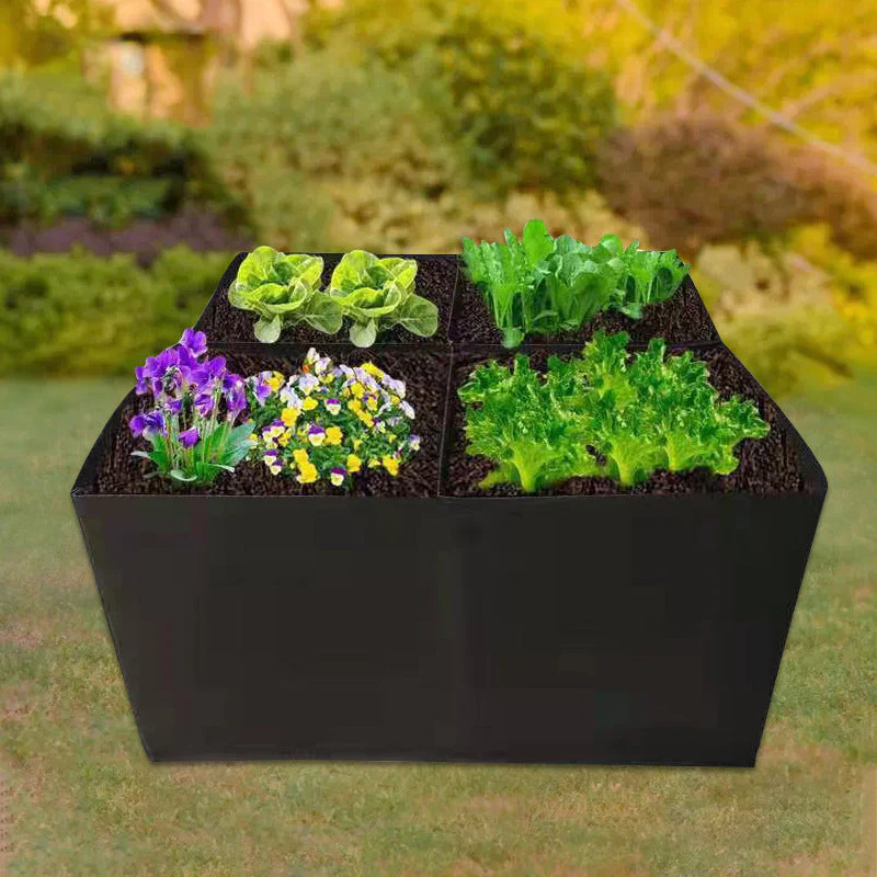 Miniatuur 4