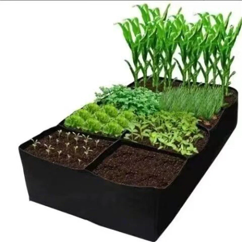 Miniatuur 5