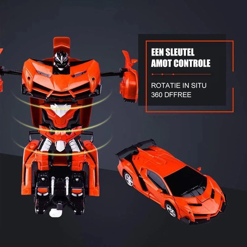Miniatuur 8