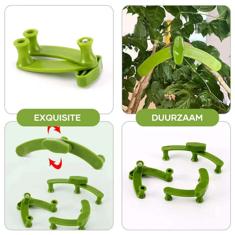 Miniatuur 12