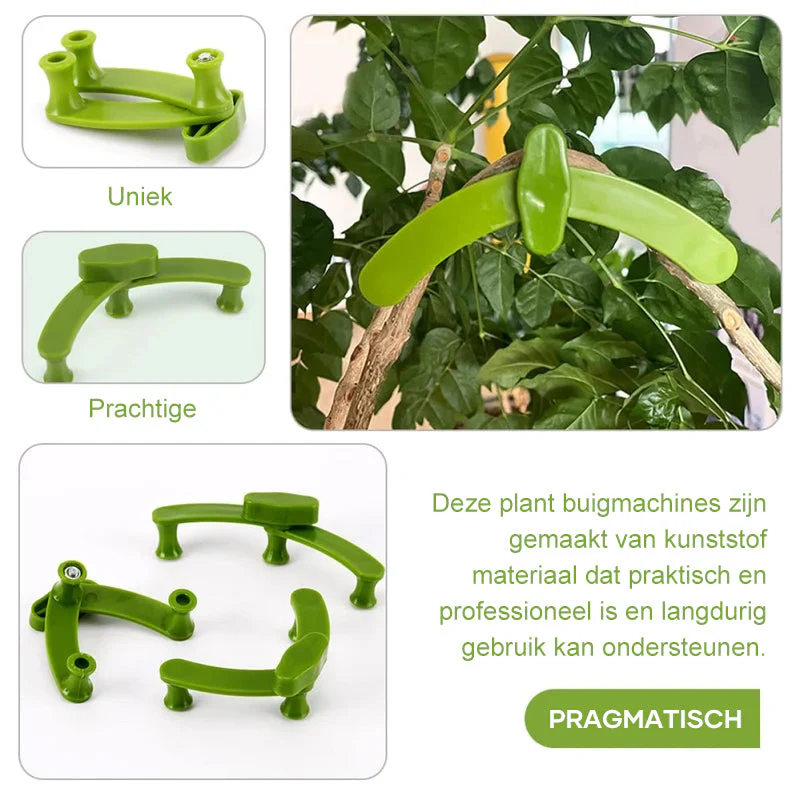 Miniatuur 8