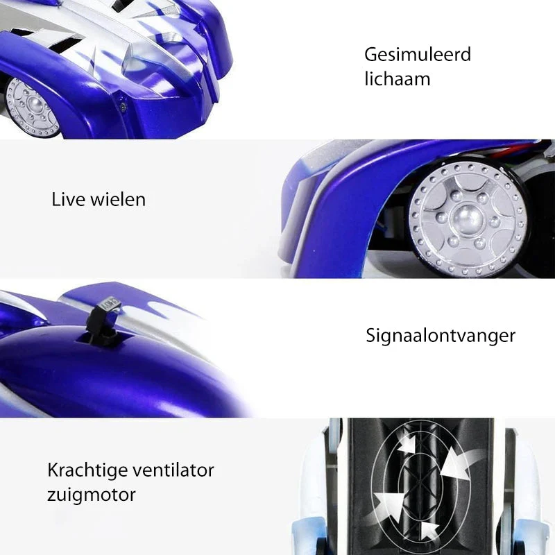 Miniatuur 10