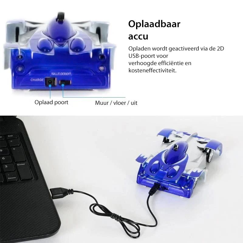 Miniatuur 12