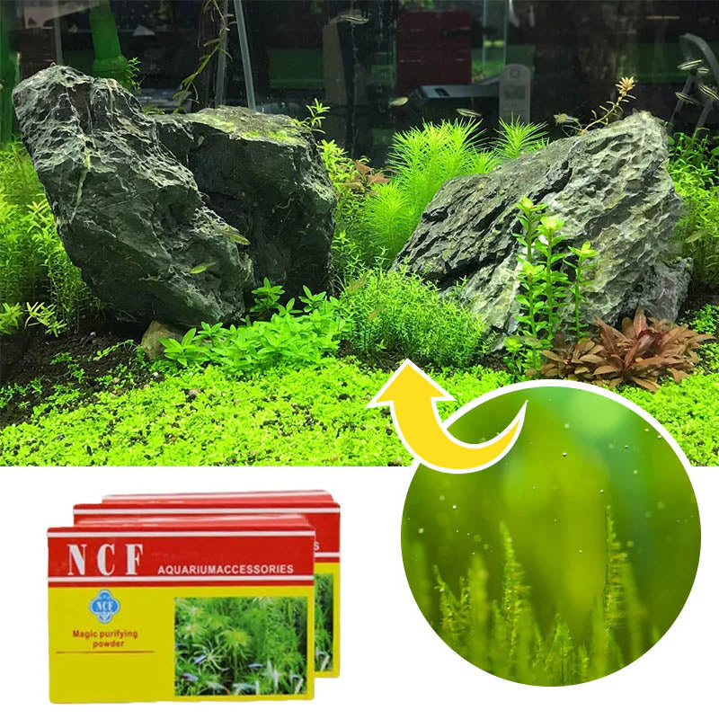 Miniatuur 2