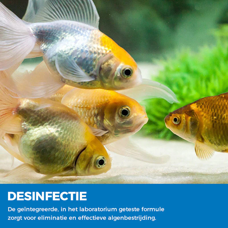 Miniatuur 7