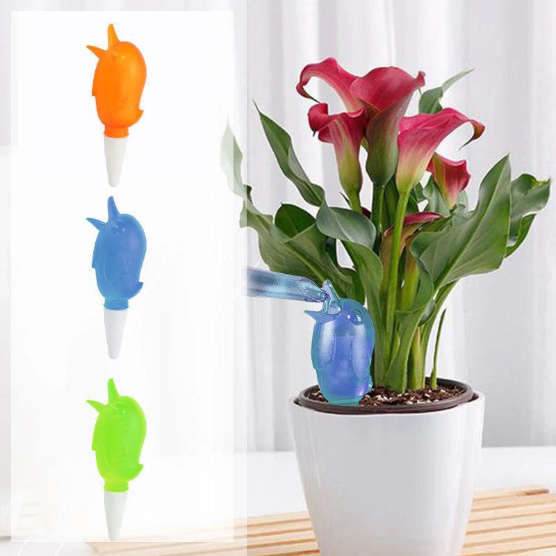 Miniatuur 13