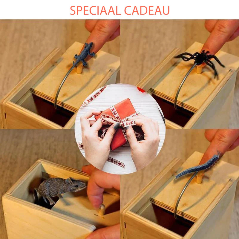 Miniatuur 5