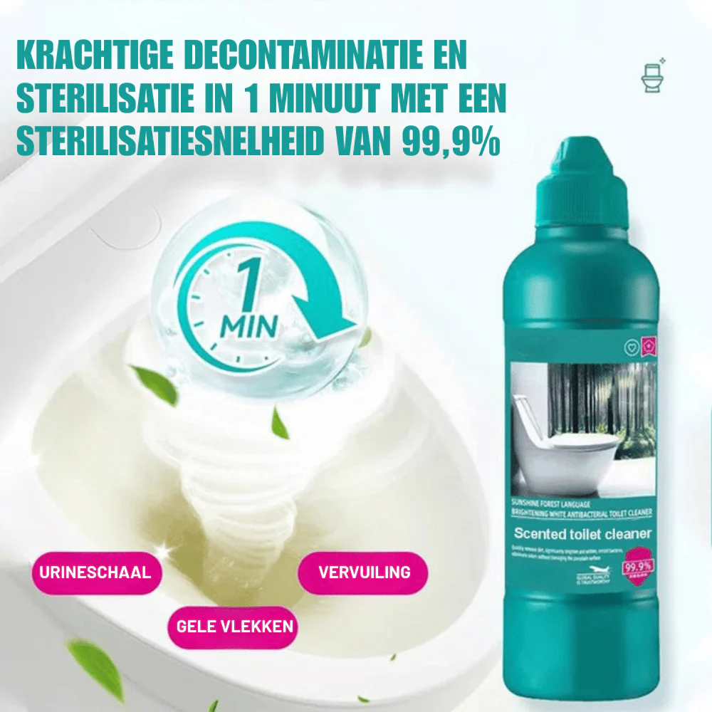 Miniatuur 8