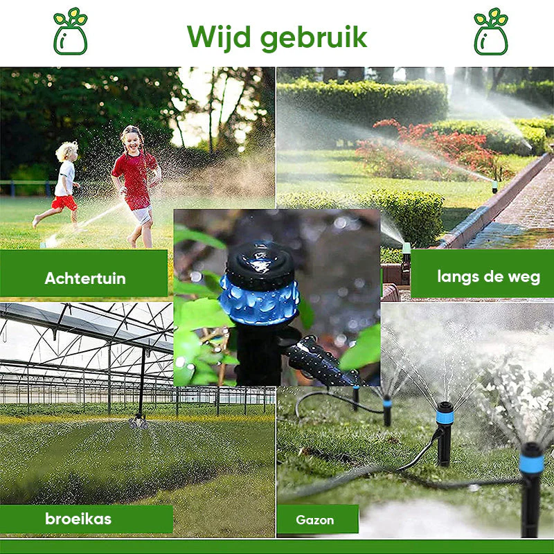 Miniatuur 15