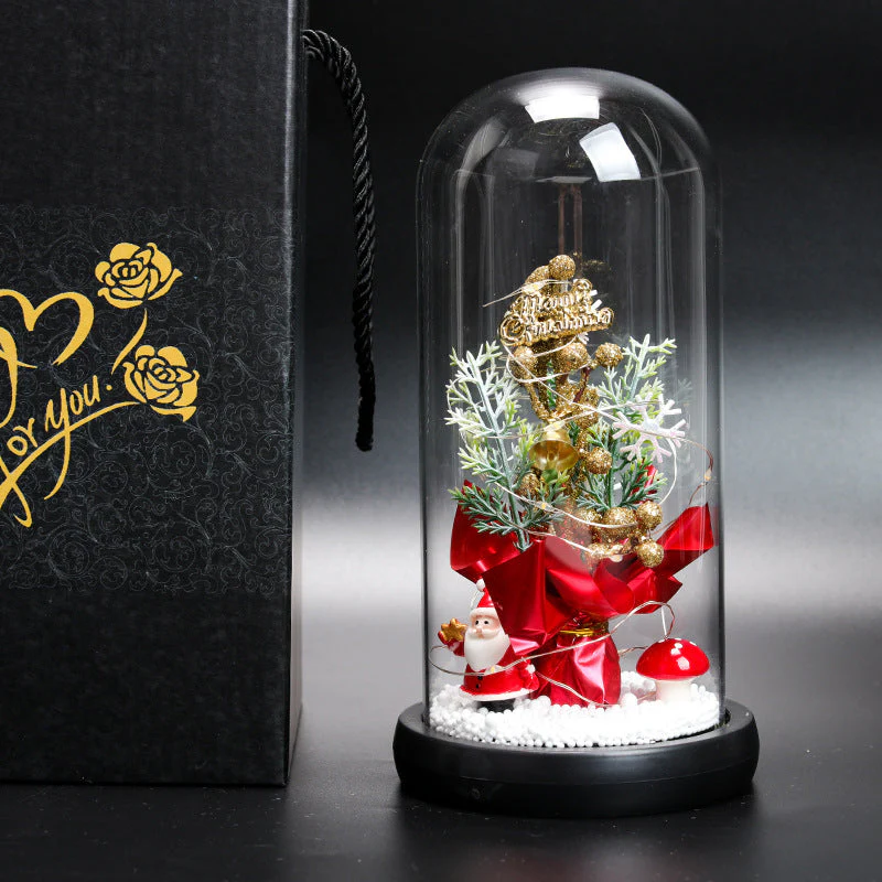 Miniatuur 11