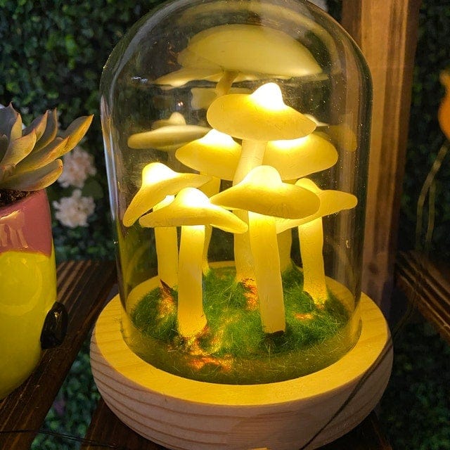 Miniatuur 3
