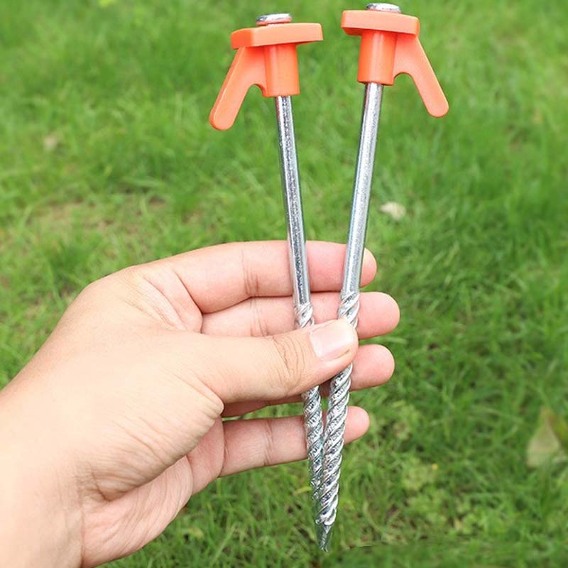 Miniatuur 13