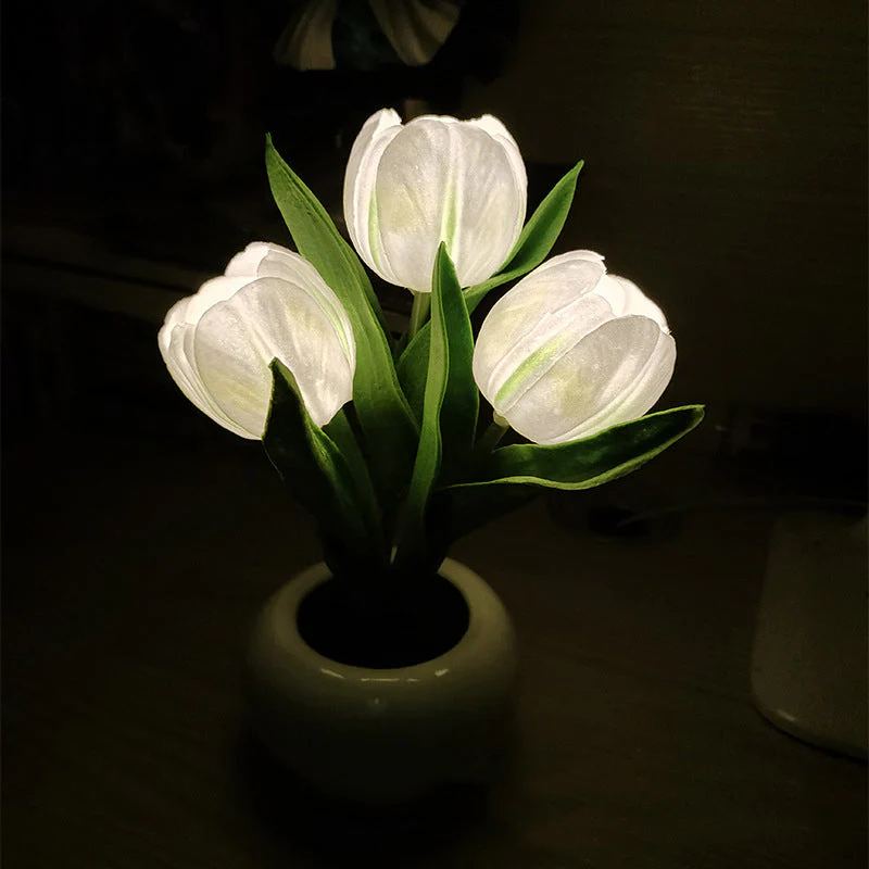 Miniatuur 11
