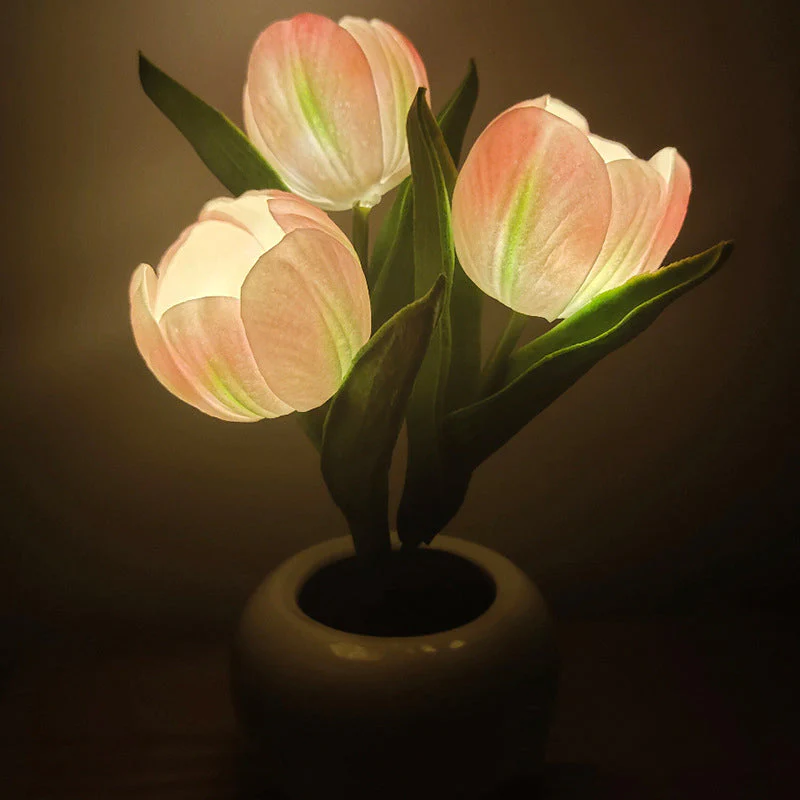 Miniatuur 13