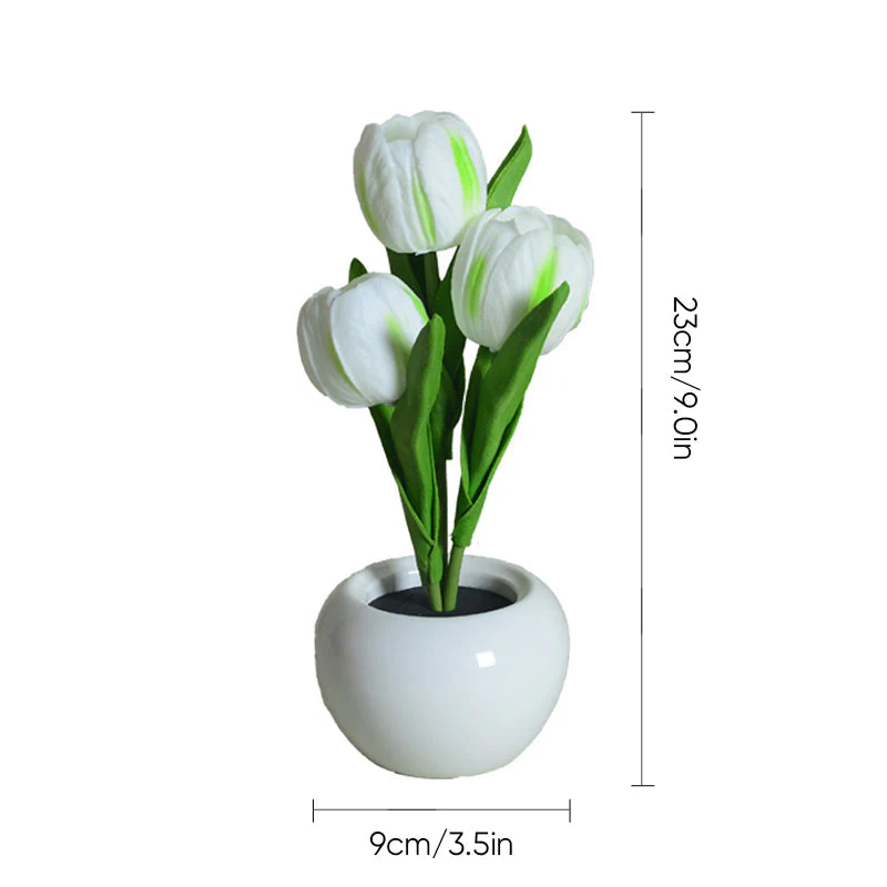 Miniatuur 15