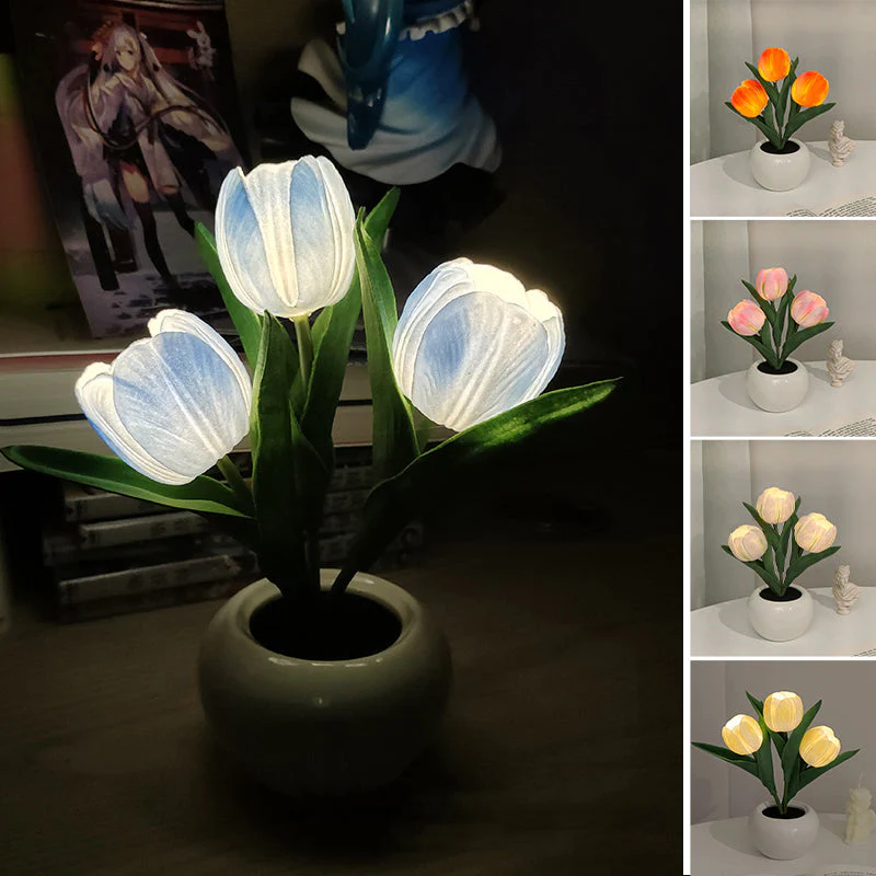 Miniatuur 2