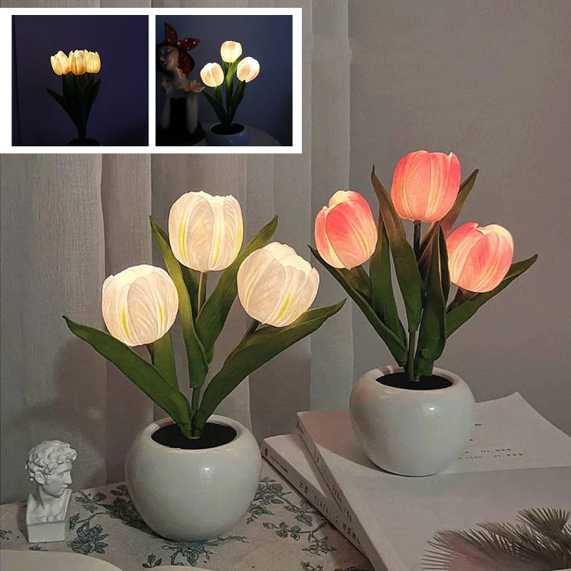 Miniatuur 6