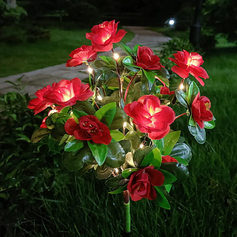Miniatuur 15