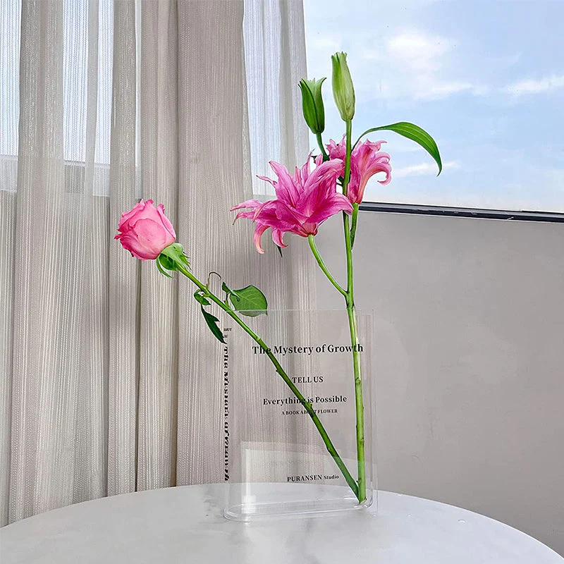 Miniatuur 3