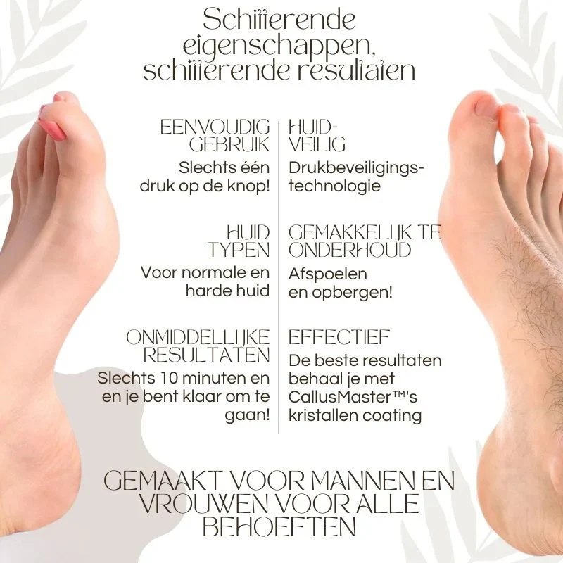 Miniatuur 8