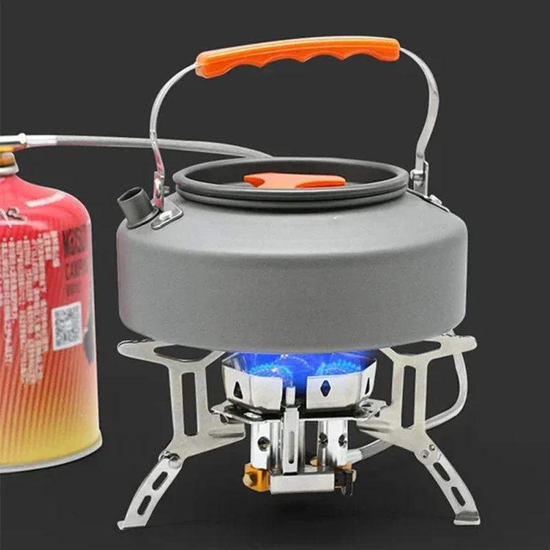 Miniatuur 8