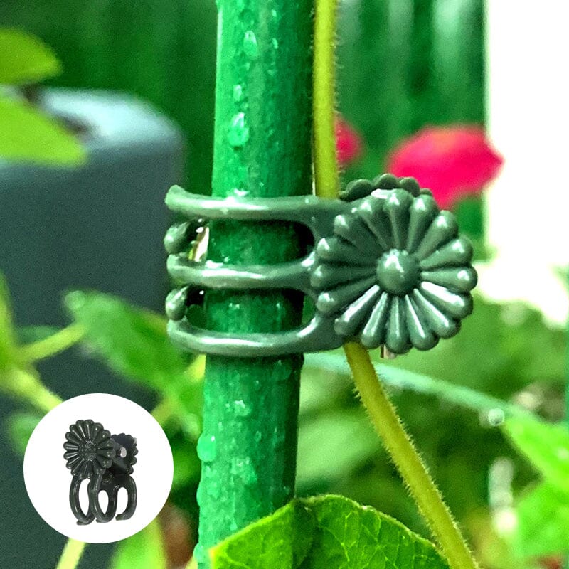 Miniatuur 10