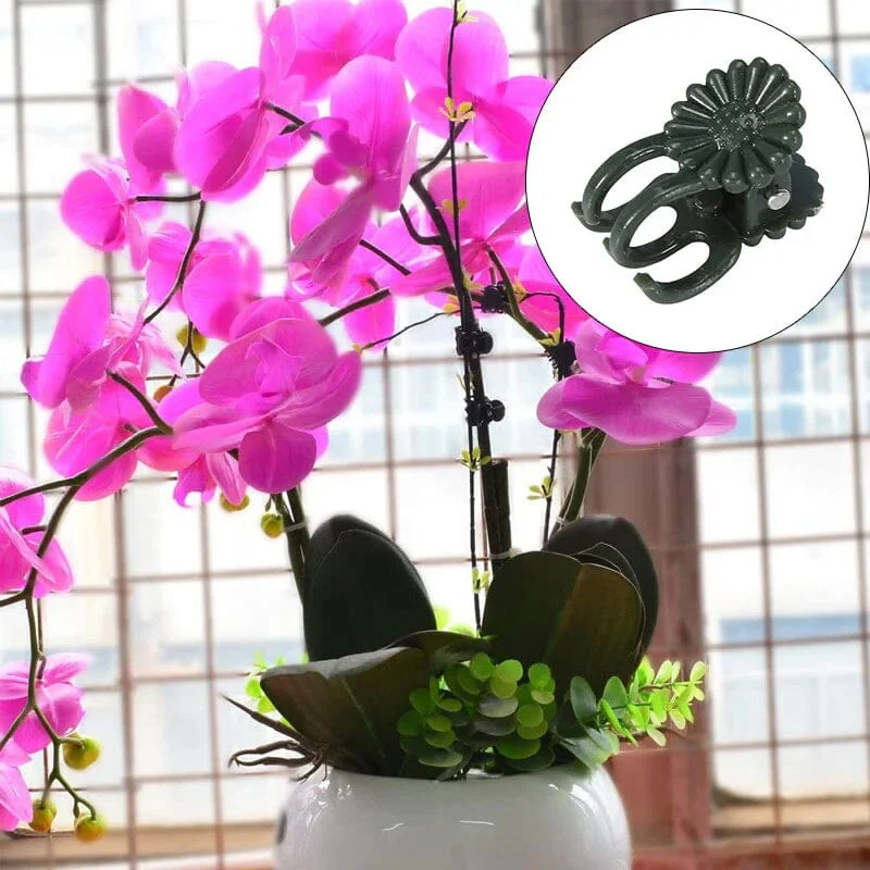 Miniatuur 5