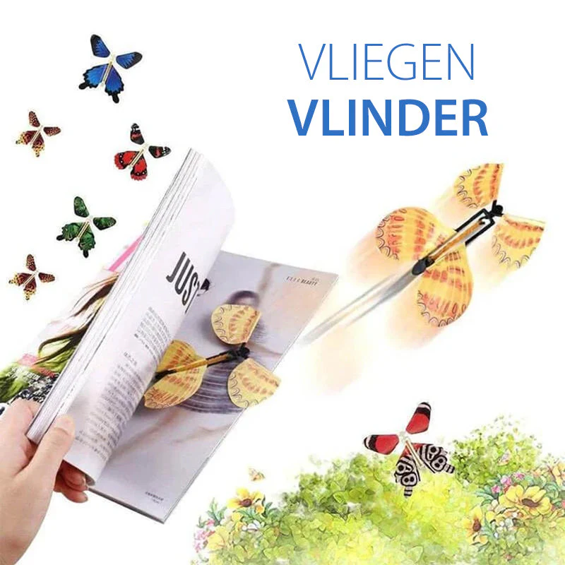 Miniatuur 2