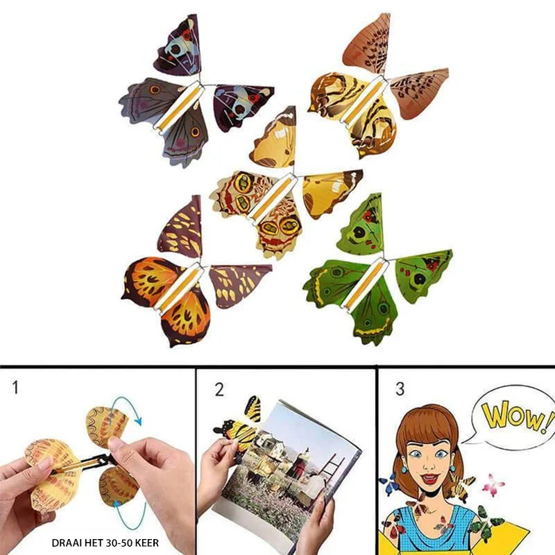 Miniatuur 3