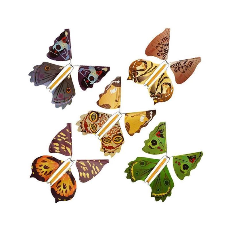 Miniatuur 4