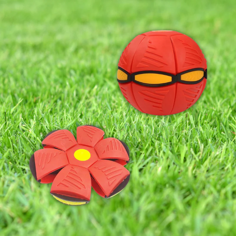Miniatuur 10
