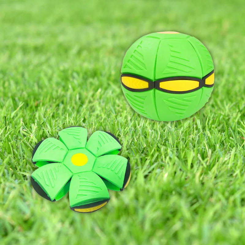 Miniatuur 11