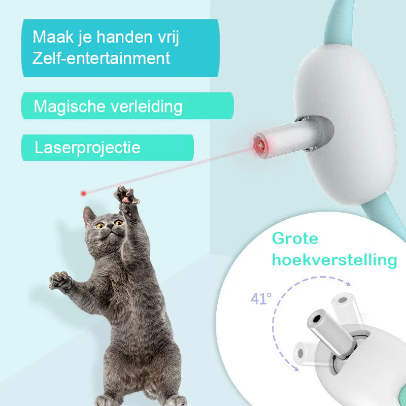 Miniatuur 8