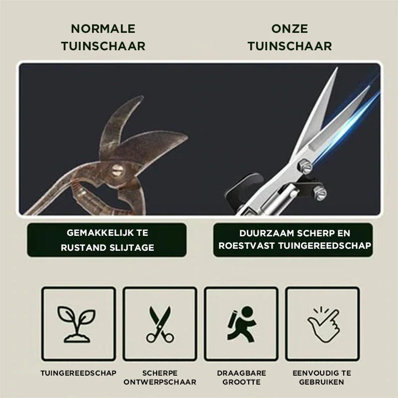 Miniatuur 6