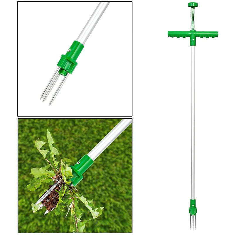 Miniatuur 5