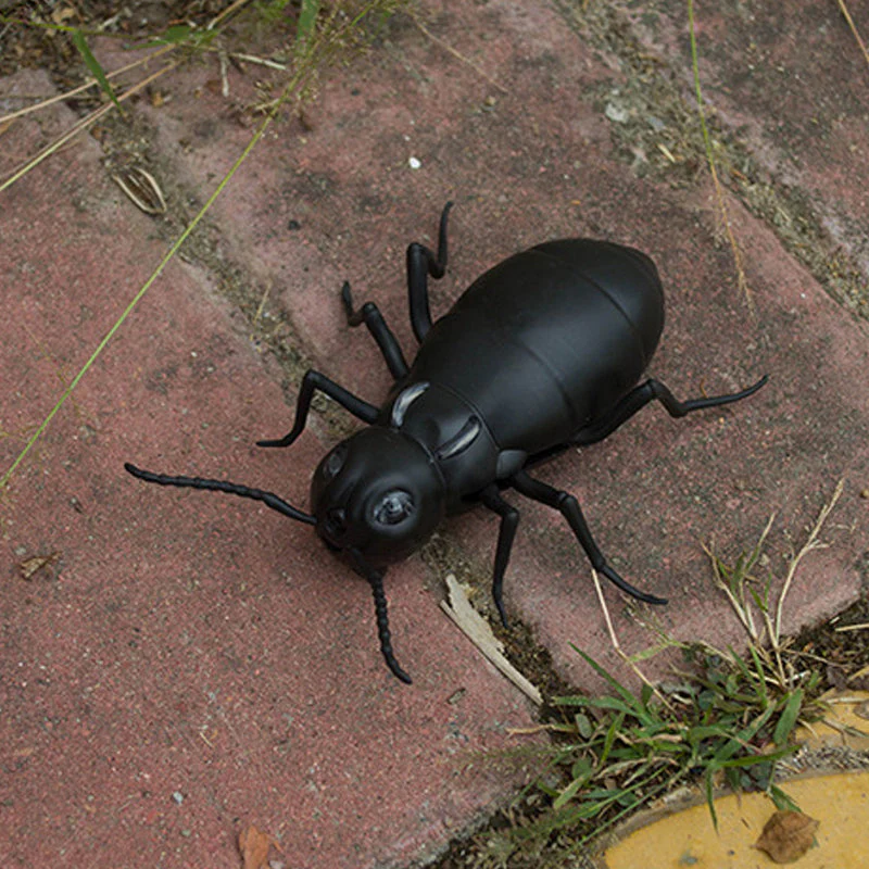 Miniatuur 12