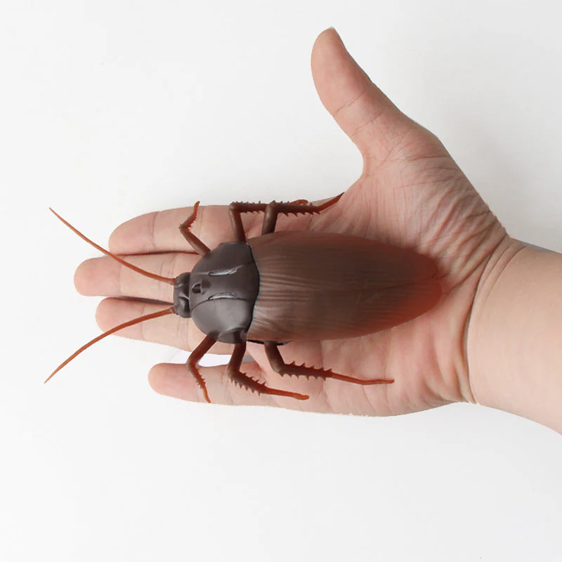 Miniatuur 4