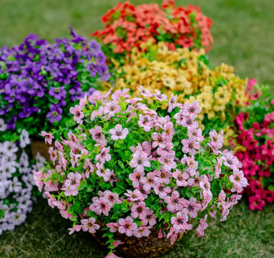Miniatuur 11