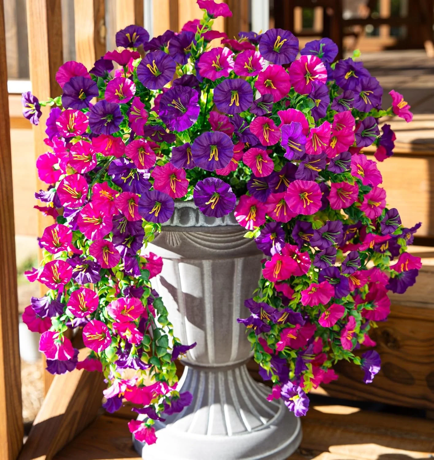 Planten en Bloemen