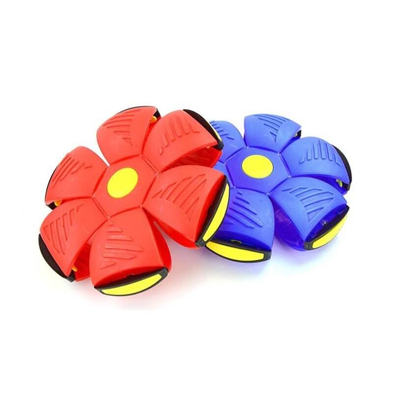 Miniatuur 9