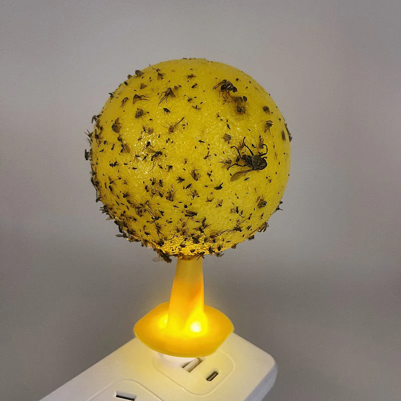 Miniatuur 6